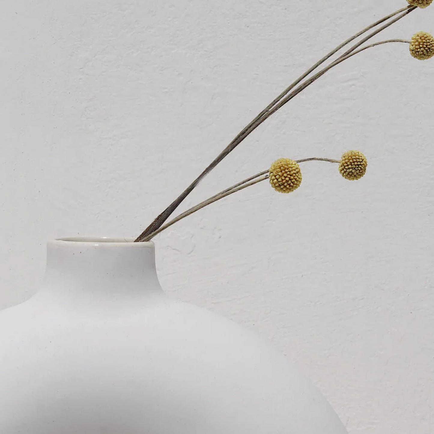Half Polo Vase MINIMAL CHIC HOME